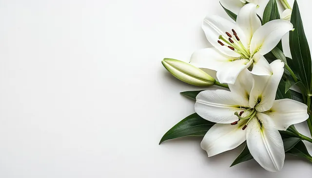 fleurs pour les funérailles